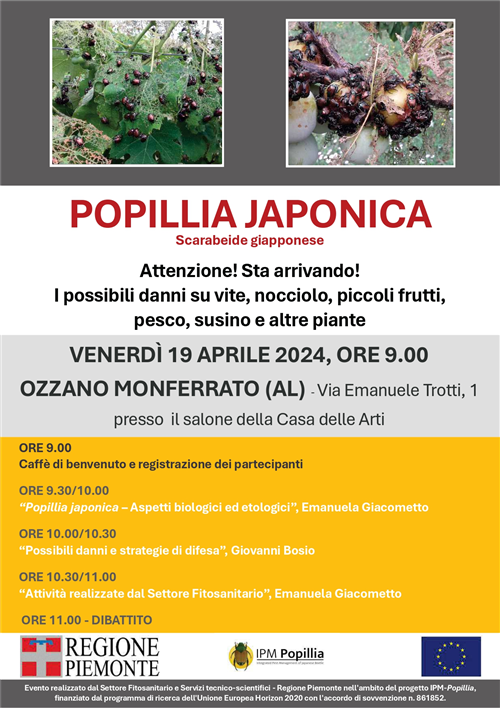 Popillia Japonica: Incontro divulgativo ad Ozzano M.to